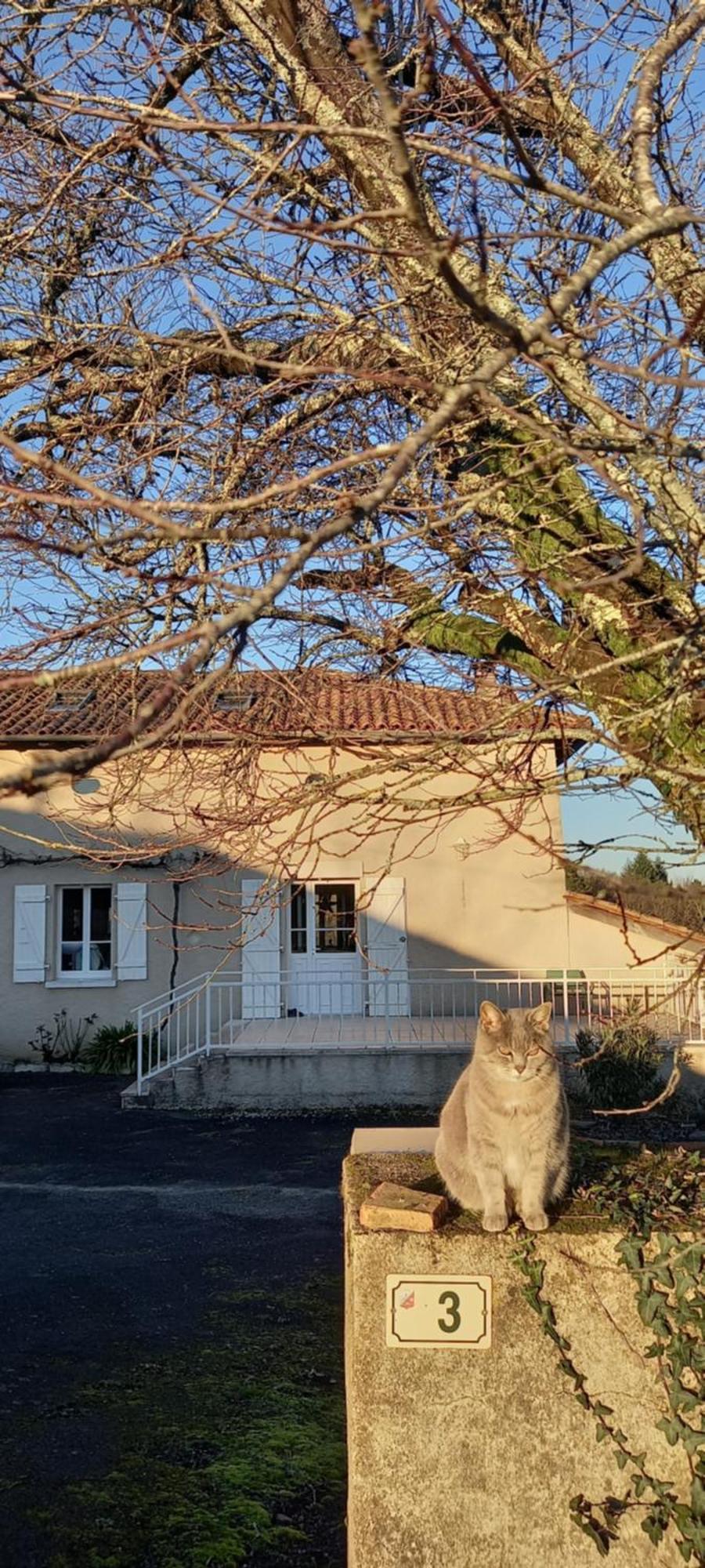 Ecuras La Mesange Bleue Bed & Breakfast エクステリア 写真